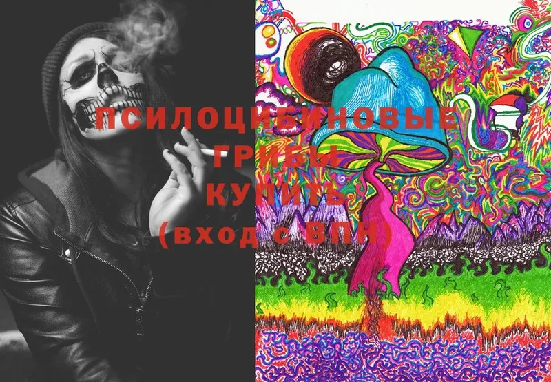 Псилоцибиновые грибы Magic Shrooms  mega ТОР  Фролово  купить  цена 